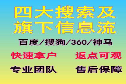 竞价广告赚钱案例：从新手到专家